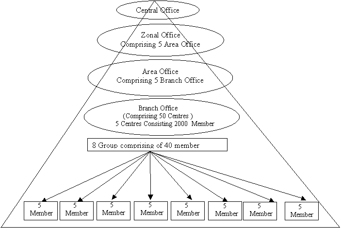 Organizational Chart Of Nepal Rastra Bank